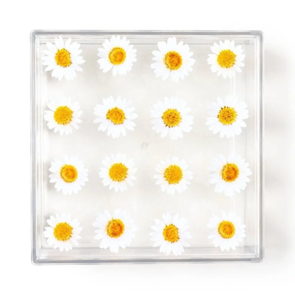 Target Bullseye Easter themed acrylic vase box with daisy flowers 💐